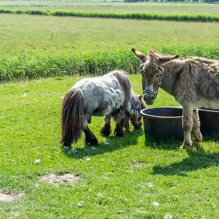 Apartament Sylt Auf Dem Holmhof *