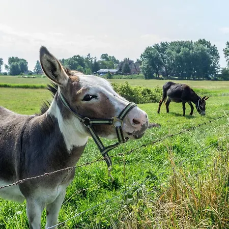 Sylt Auf Dem Holmhof Apartament
