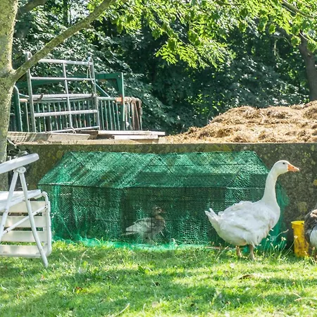 Sylt Auf Dem Holmhof Apartament